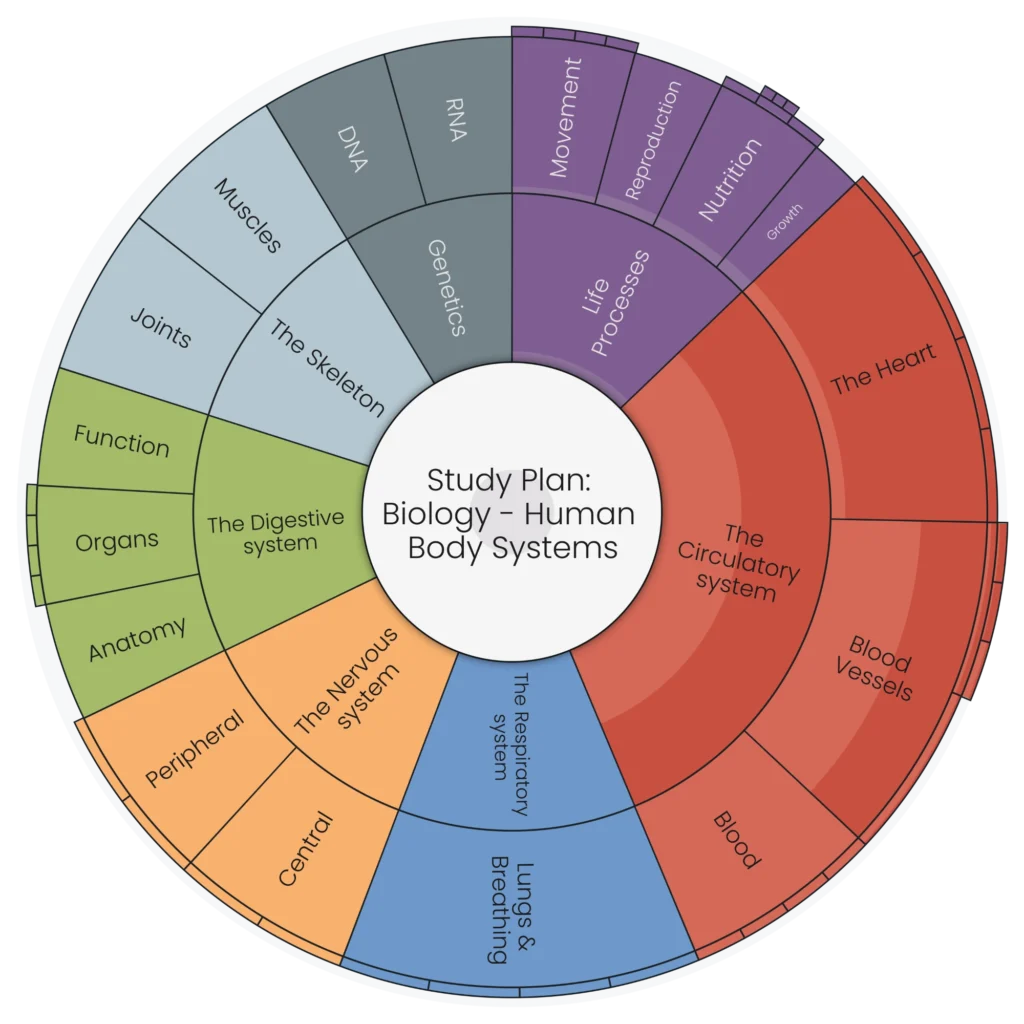 Study Plan Biology – Human Body Systems - education goals template screenshot